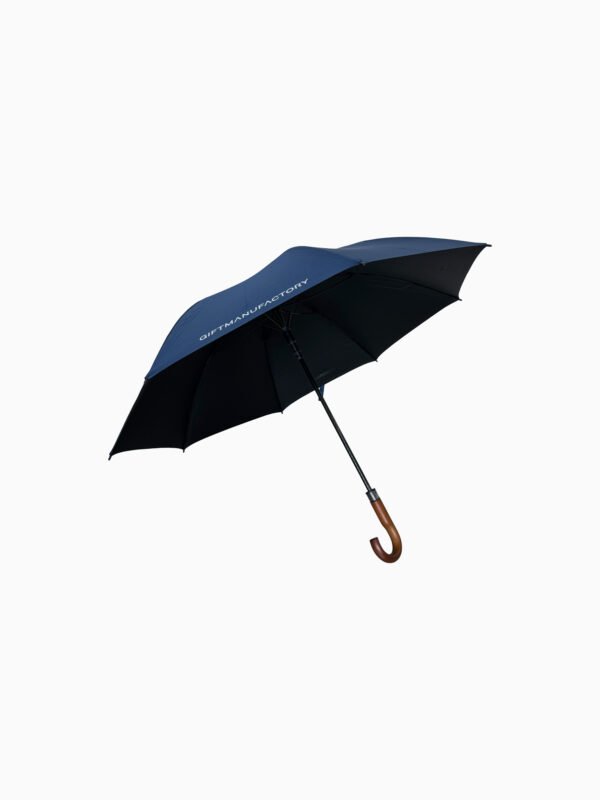 UMBRELLA 26